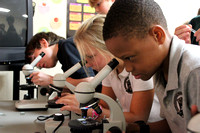 5th grade Science microscopes
