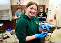 Biology/Clam Lab